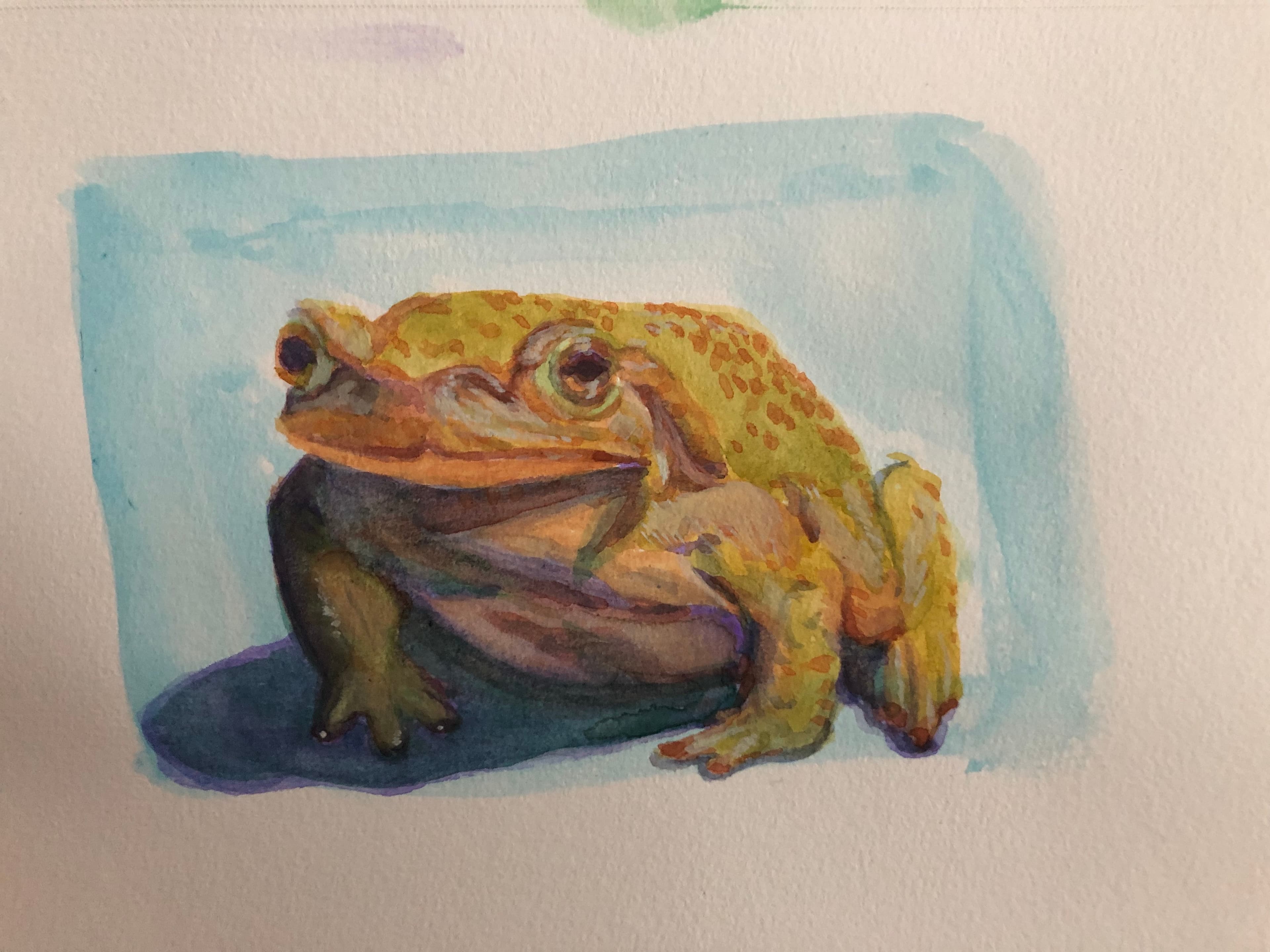 frog in gouache