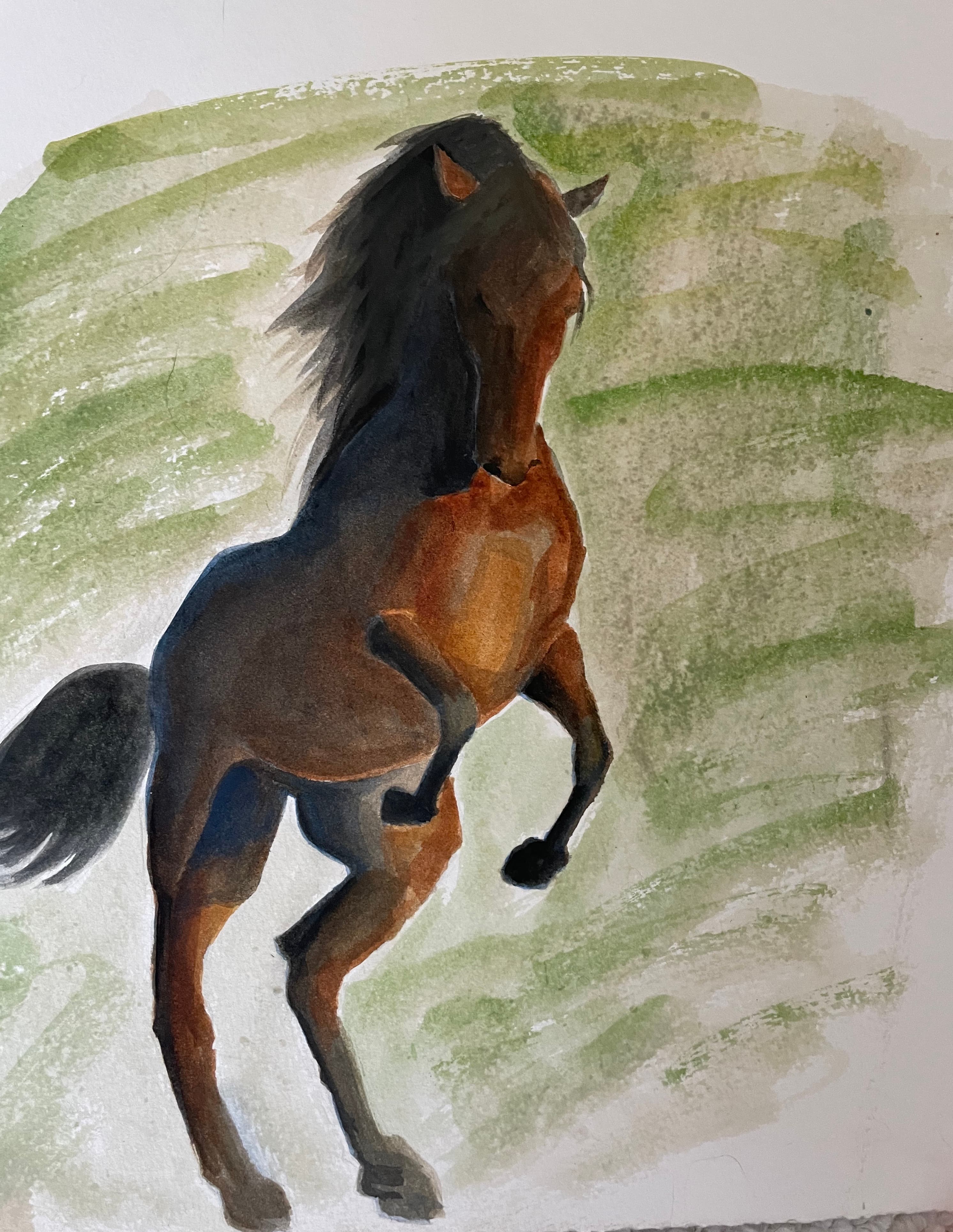 Horse study